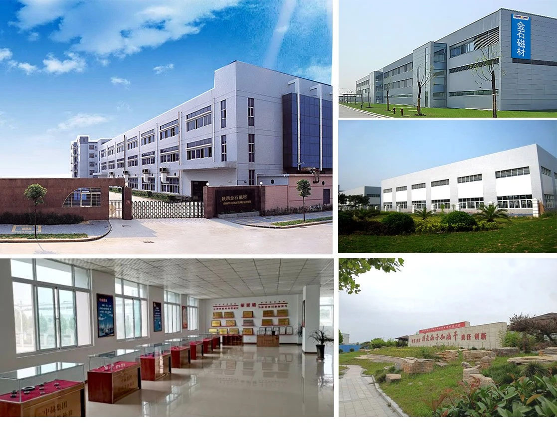 Company Profile