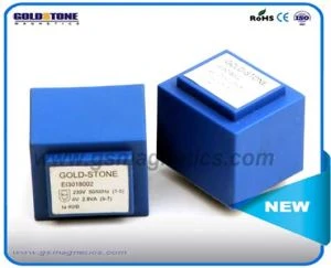 Encapsulated Transformer